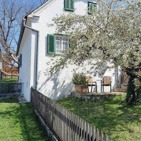 Ilz Ferienhaus Im Thermenland מראה חיצוני תמונה